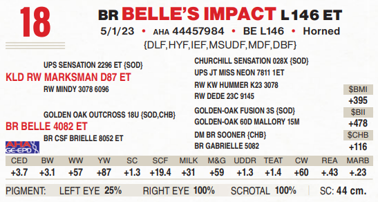 BR BELLE S IMPACT L146 ET