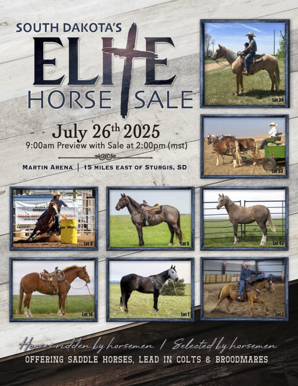 South Dakota's Elite Horse Sale