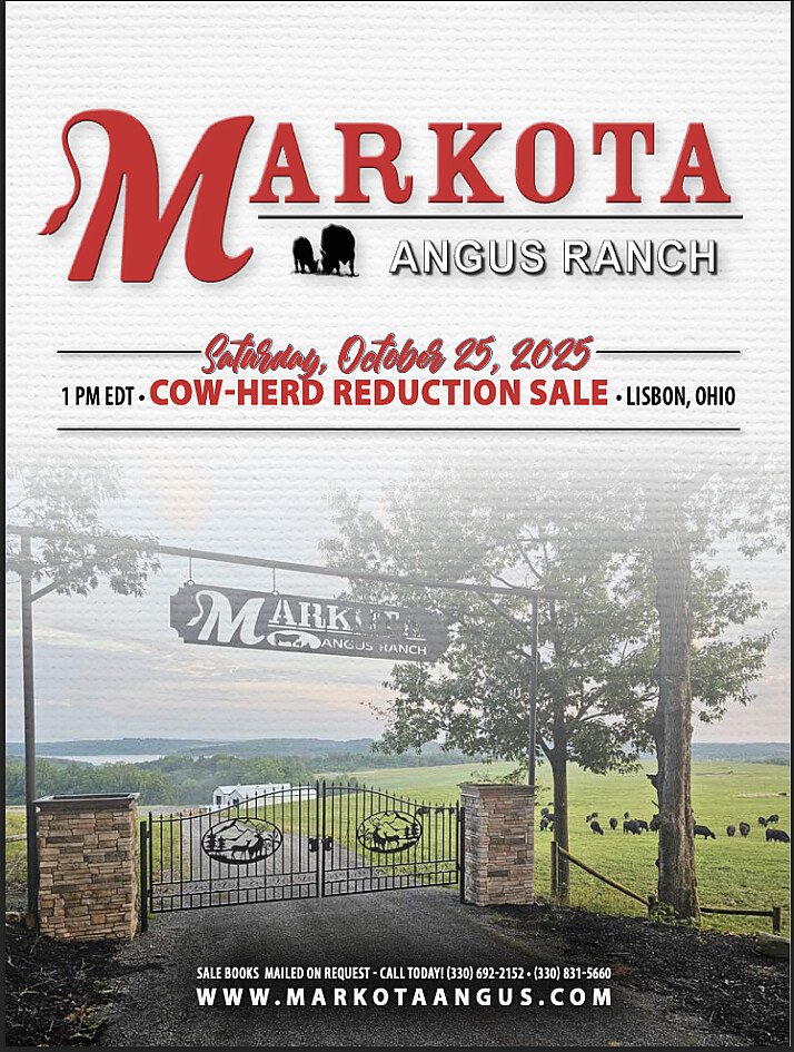 Markota Angus Ranch Cow Herd Reduction