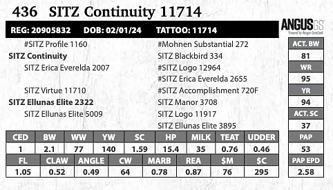 Sitz Profiles SITZ Continuity 11714