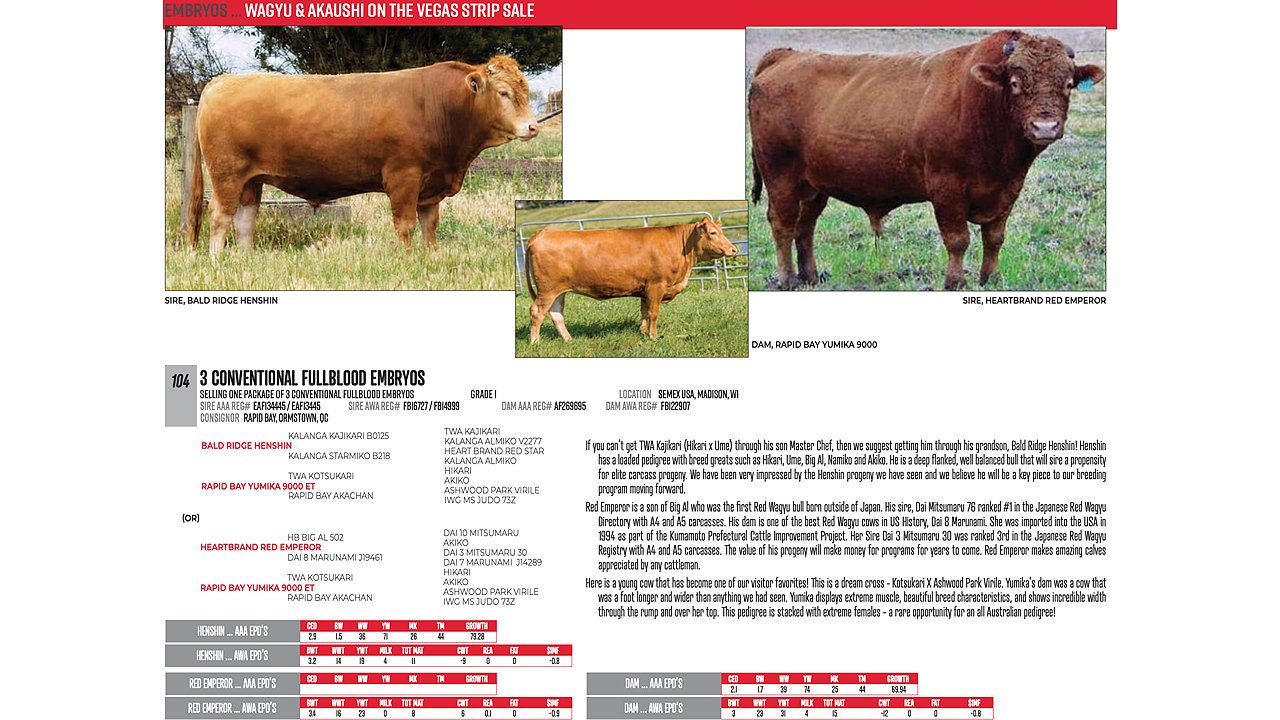 3 Conventional, Grade 1 Embryos | Rapid Bay Yumika 9000 ET by Bald ...