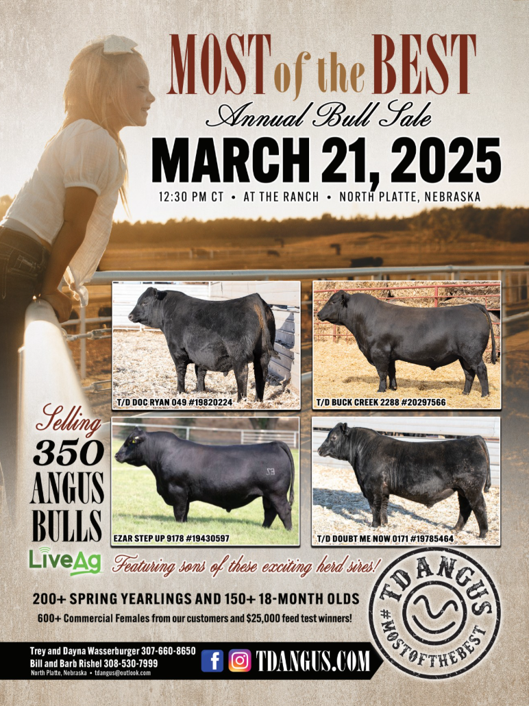Event Image for TD Angus at Rishel Ranch