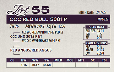 CCC RED BULL 5081 P
