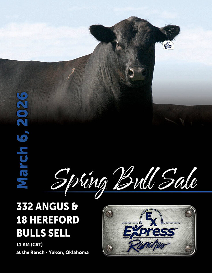 Express Ranches Spring Bull Sale