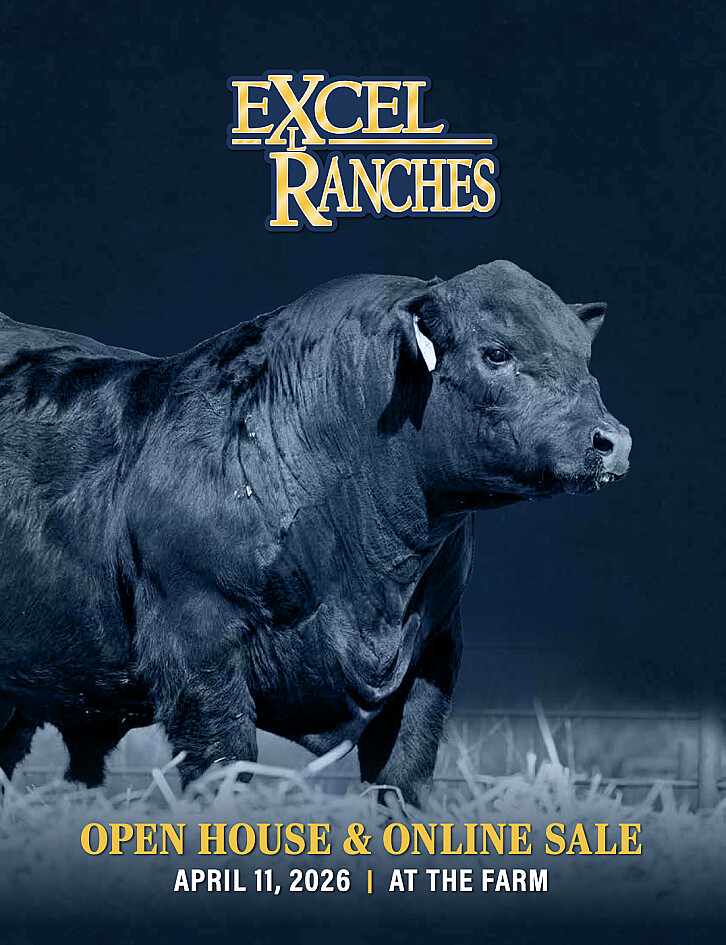 Excel Ranches