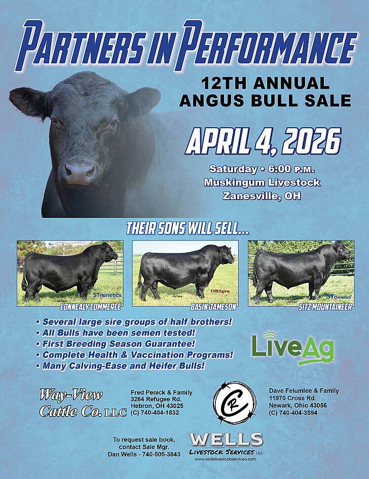 Bull Performance Record Partners in Performance 12th Annual Angus Bull Sale