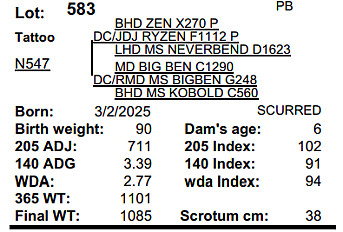 N547
