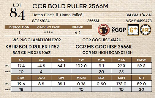Bold Ruler Way CCR BOLD RULER 2566M