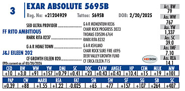 EXAR Absolute 5695B