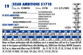 EXAR Ambitious 5171B