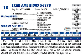 EXAR Ambitious 5697B