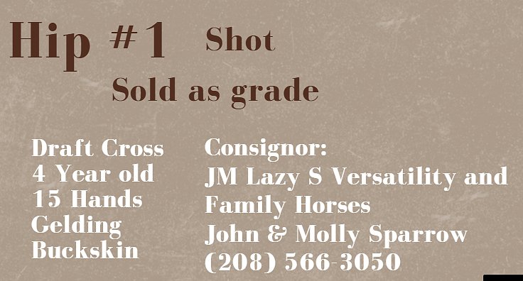 Women of the Wild West Horse Sale