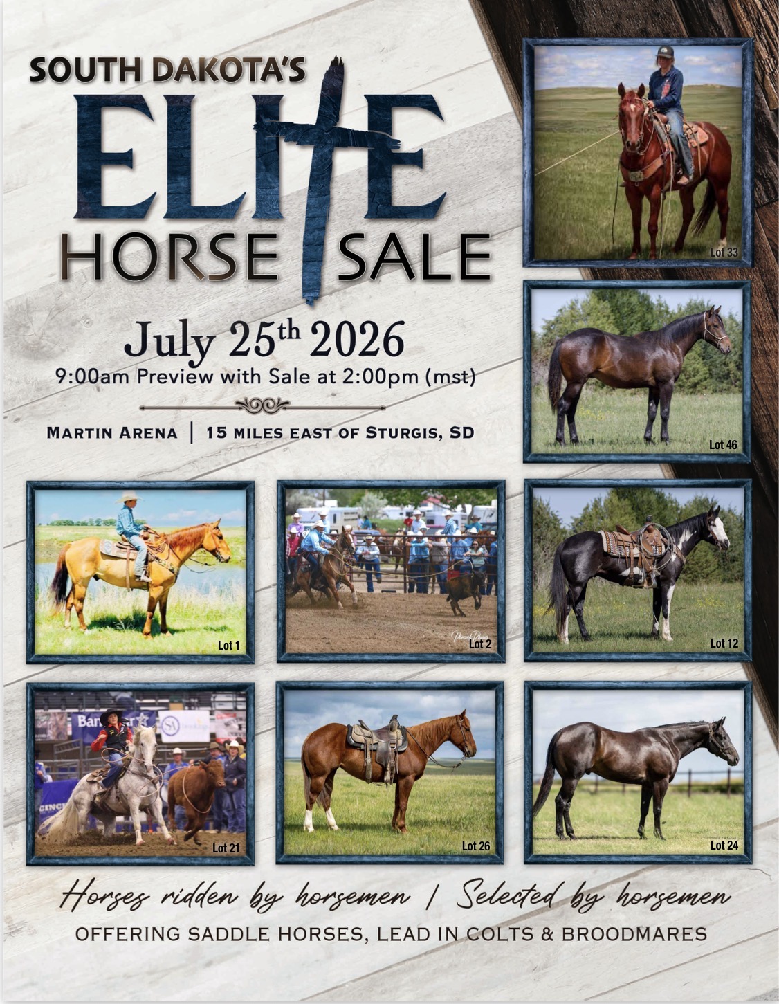 South Dakota's Elite Horse Sale